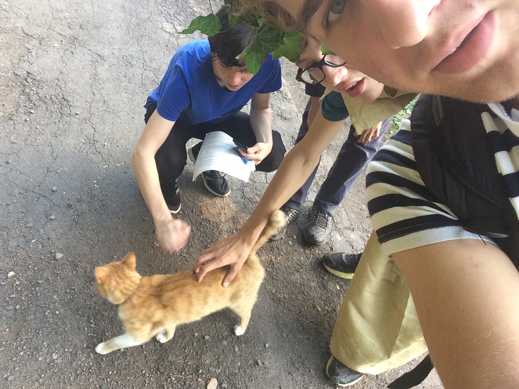 Selfie s živým zvířetem potřetí