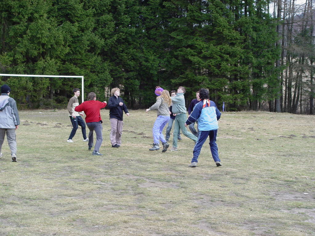 Frisbee VI.