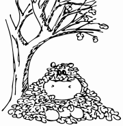 Ilustrace: Hroch zasypaný listím